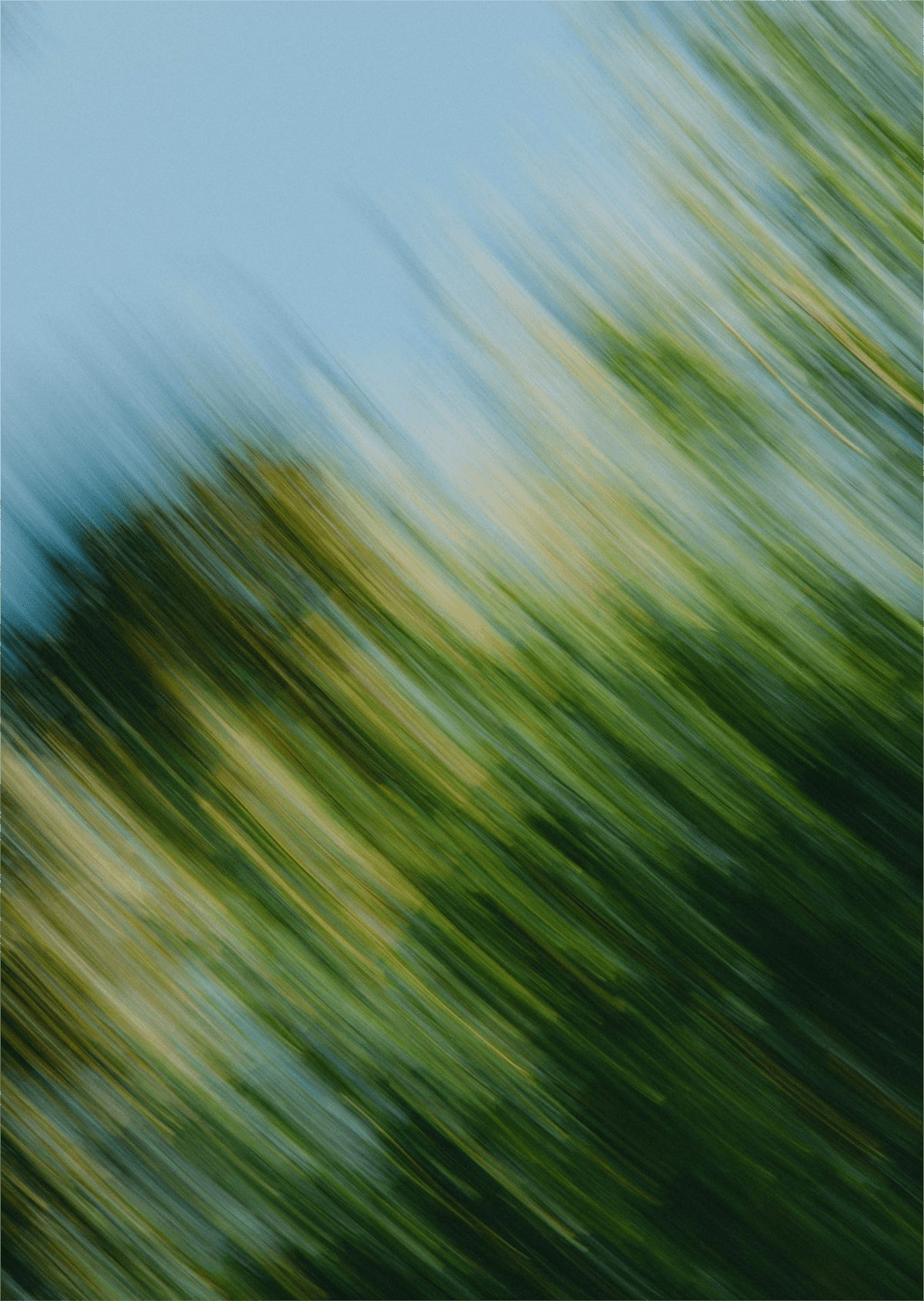 Soft blue and green nature photography